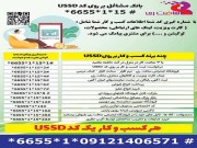 برای اولین بار بانک اطلاعات مشاغل روی کدخدماتی USSD ایجاد گردید.